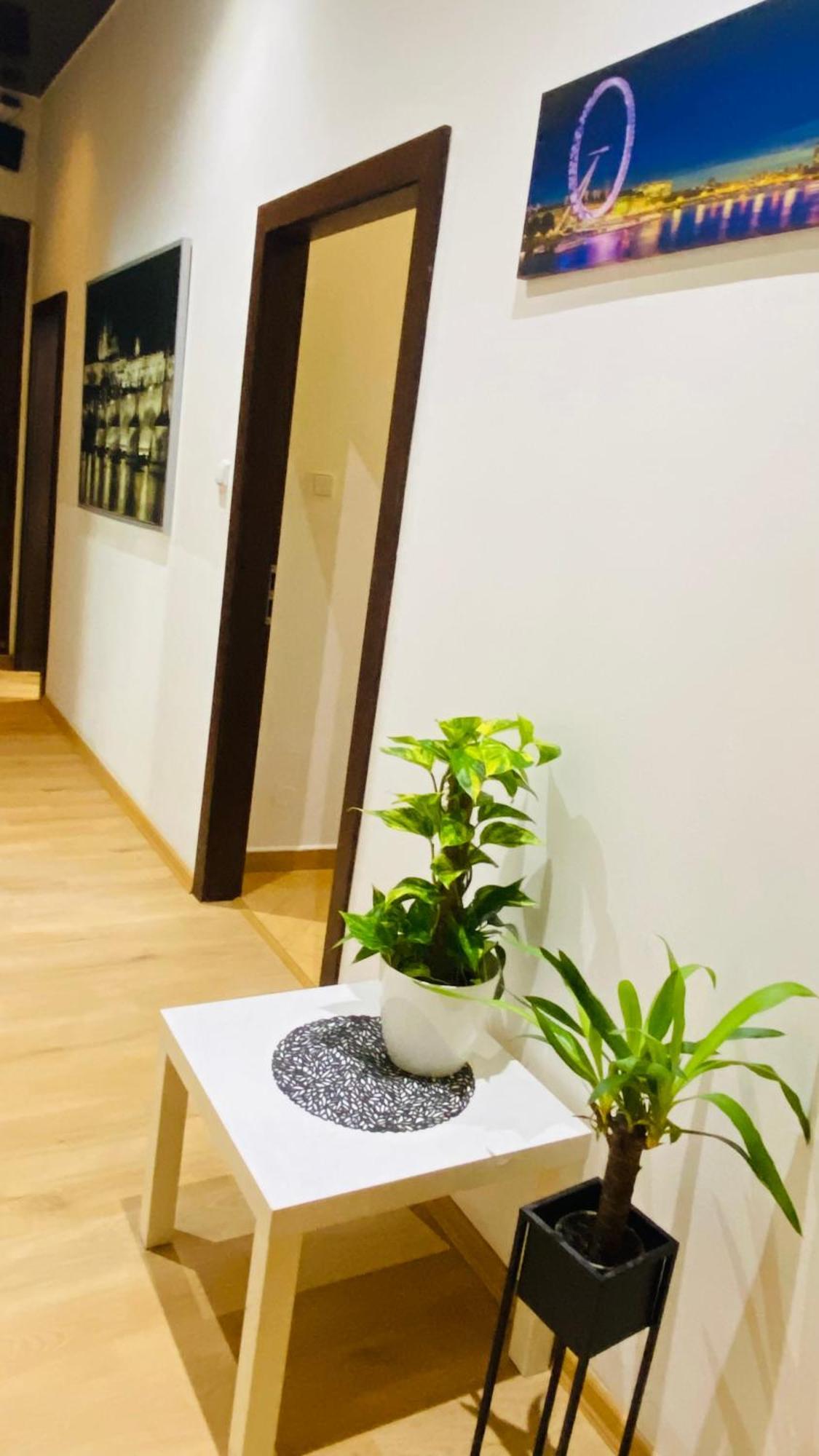 Hotel Apartment In Prague 2 Square Екстериор снимка